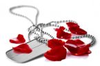 طرح «اهدای خون به نیت شهدای قم» اجرا می‌شود