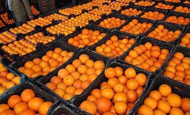 استقرار ۱۶ غرفه توزیع میوه تنظیم بازار در شهر قم