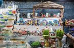 برپایی غرفه‌های عرضه ماهی گلی و مصنوعات تزئینی سفره هفت‌سین در قم