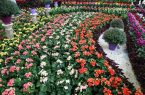 استقبال چشمگیر قمی‌ها از نمایشگاه گل و گیاه