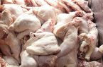 توزیع روزانه حدود ۳۰ تن مرغ با قیمت مصوب در قم/ افزایش دما و تلفات در مرغداری‌ها عامل افزایش قیمت مرغ