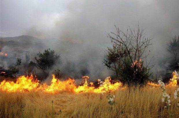 آتش‌سوزی ۳۲۱ هکتار از مراتع قم در تعطیلات عید فطر