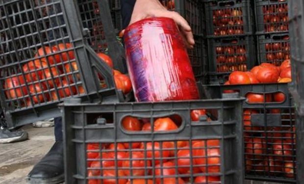 کشف بیش از ۵۶ کیلوگرم تریاک با طعم گوجه فرنگی در قم