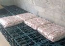 کارگاه غیرمجاز آماده‌سازی ساندویچ‌های سرد در قم کشف شد