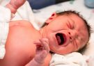 کاهش ۱۳ درصدی آمار تولد در قم/ «علی» و «فاطمه» در صدر اسامی انتخابی نوزادان