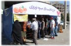 توزیع میوه تنظیم بازار نوروزی در هشت منطقه قم