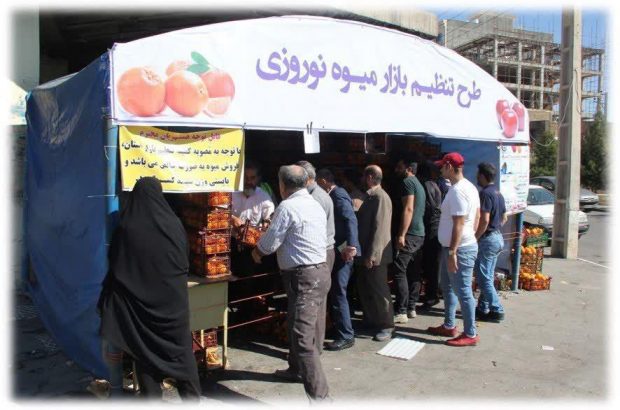 توزیع میوه تنظیم بازار نوروزی در هشت منطقه قم