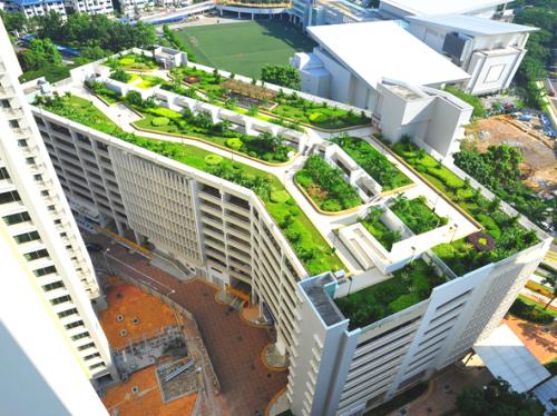 احداث فضای سبز در ١۵٧ مجتمع مسکونی در قالب طرح «کاشانه»