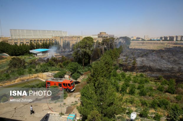 محوطه جامعه الزهرا ربطی به باغ سالاریه ندارد/ آتش‌سوزی به دلیل گرمای هوا بود/ هیچ‌کس دستگیر نشد