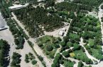 آمادگی شهرداری برای مذاکره با مدعیان بوستان فدک/ قلع و قمع تجهیزات بوستان فدک موجب نابودی درختان می‌شود