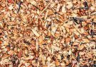 راه‌اندازی سایت تولید چیپس چوب در بوستان غدیر