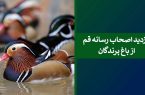 بازدید خبرنگاران از باغ پرندگان قم