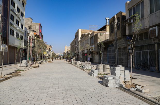 توضیحات شهرداری در خصوص قطع درختان آلوده و ناایمن خیابان انقلاب