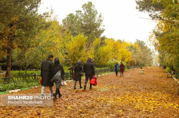 اجرای طرح پاییزی فرش خزان در بوستان‌های شهر قم