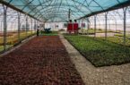 راه‌اندازی باغ تحقیقات گیاهان دارویی در بوستان علوی قم