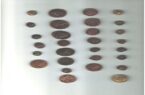 کشف سکه‌های تاریخی دوران اشکانی و صفوی در قم