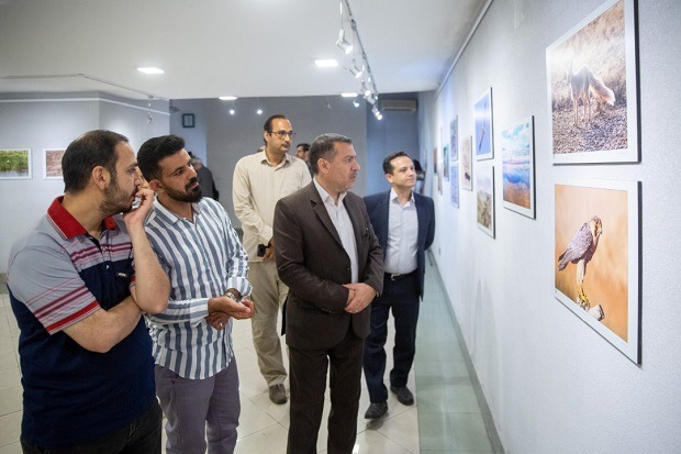 افتتاح نمایشگاه عکس «پنجره‌ای رو به حیات» در قم