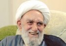 آیت‌الله ناصری و انتظار ظهور امام زمان(عج)