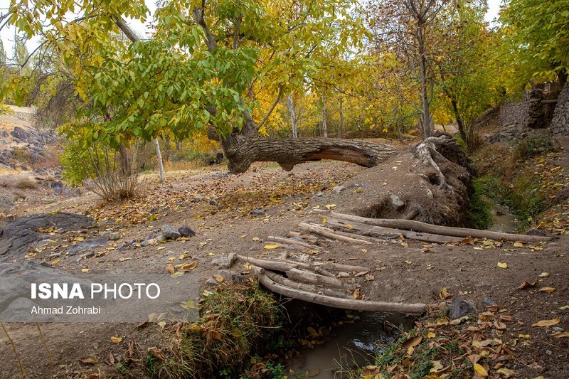 طبیعت پاییزی روستای «نایه» قم +تصاویر