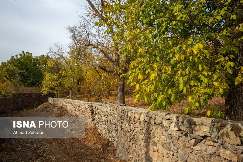 طبیعت پاییزی روستای «نایه» قم +تصاویر