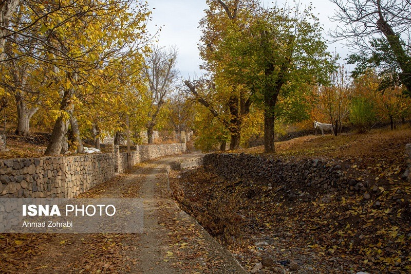 طبیعت پاییزی روستای «نایه» قم +تصاویر