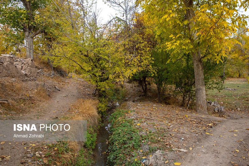 طبیعت پاییزی روستای «نایه» قم +تصاویر