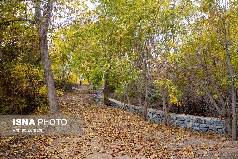 طبیعت پاییزی روستای «نایه» قم +تصاویر