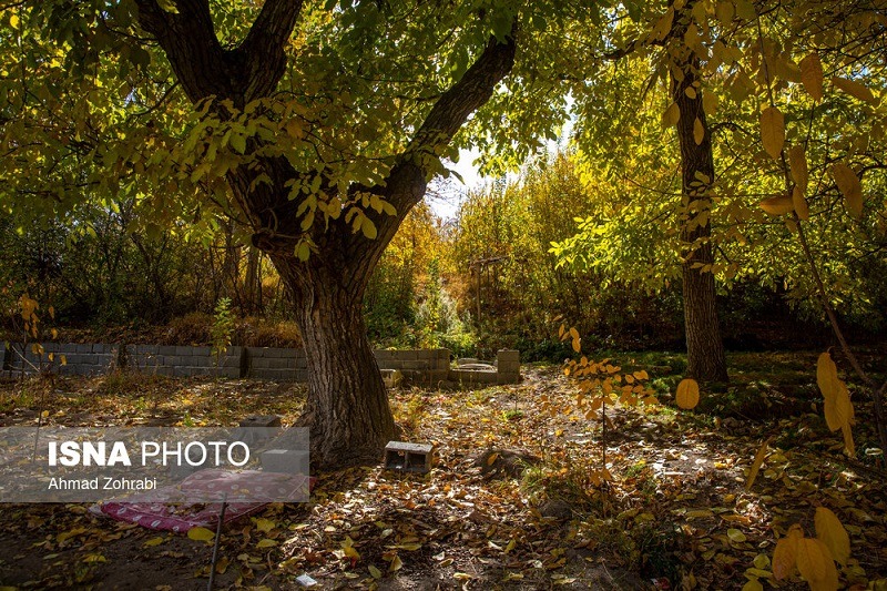 طبیعت پاییزی روستای «نایه» قم +تصاویر