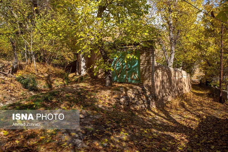 طبیعت پاییزی روستای «نایه» قم +تصاویر