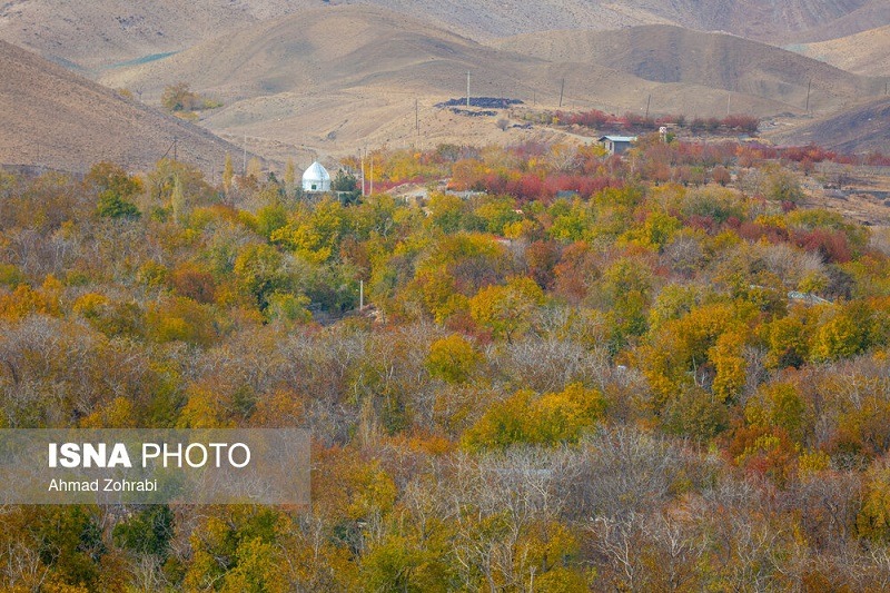 طبیعت پاییزی روستای «نایه» قم +تصاویر