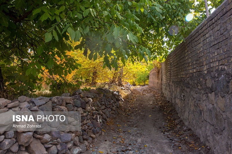 طبیعت پاییزی روستای «نایه» قم +تصاویر