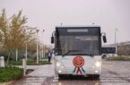 فعالیت ۲۰۰ دستگاه اتوبوس در شهر قم