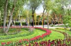 همایش علمی راهبردهای توسعه فضای سبز در شهرهای حاشیه کویر در قم برگزار می‌شود