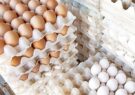ممنوعیت صادرات تخم‌مرغ برخلاف منافع ملی است/ بازار صادراتی منطقه را نباید به رقبای ایران واگذار کنیم