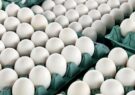 عراقی‌ها مشتری تخم‌مرغ‌های قم شدند