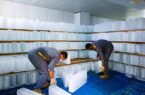 توزیع ۶ هزار قالب یخ در ایستگاه‌های صلواتی قم