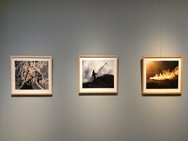 برپایی نمایشگاه عکس «به سیاهی زغال، به سفیدی دود» در قم