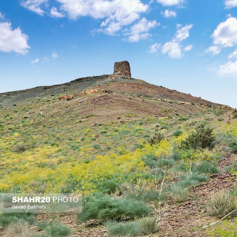 قم را باید دید؛ میل امامزاده عبدالله(ع)